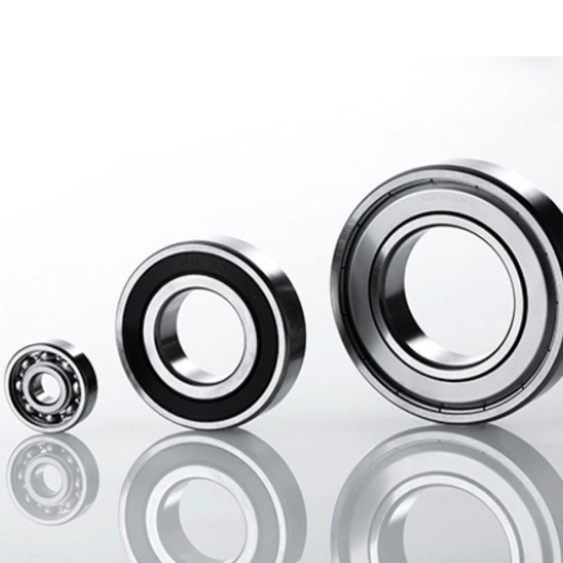 EZO Large Stainless Steel Bearings